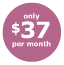Only 37 per month!