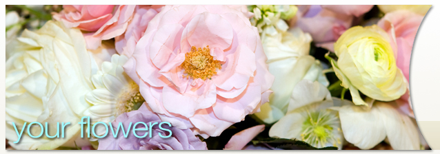 Rochester Wedding Flowers banner image