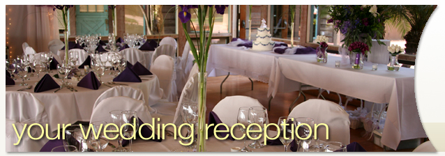 Your Rochester Wedding Reception banner image